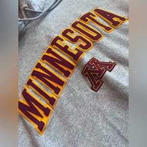 Minnesota Champion Hoodie